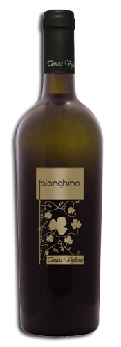 Falanghina - Afbeelding 2