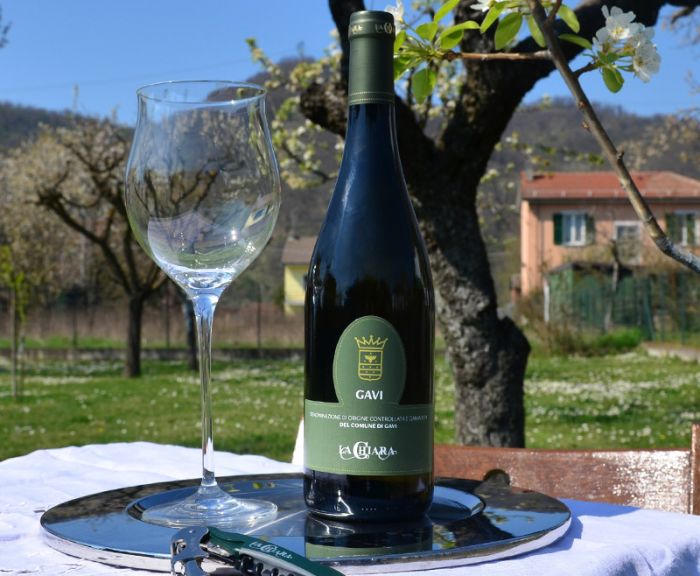 Gavi del Comune di Gavi DOCG green label - Afbeelding 2