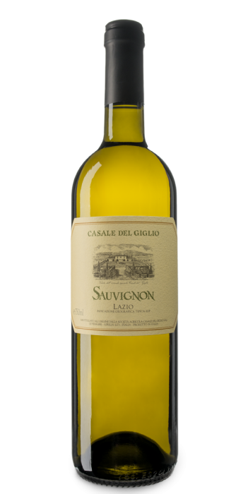Sauvignon