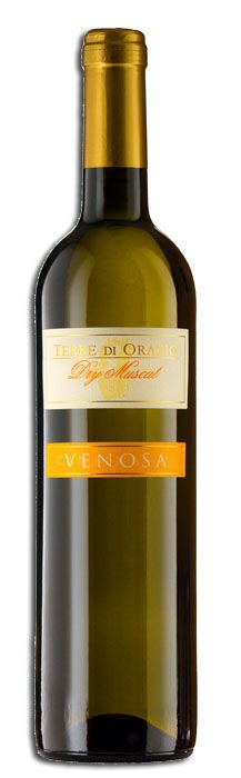 Terre di Oracio dry muscat