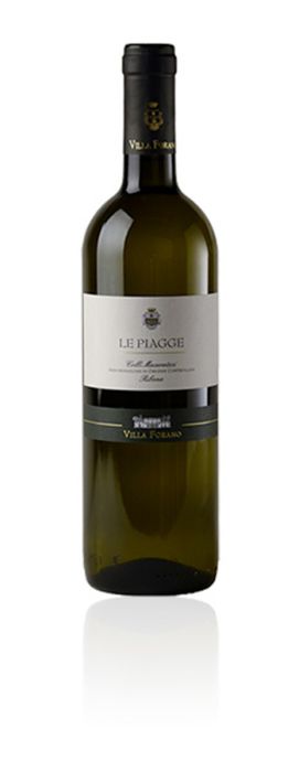 Le Piagge Colli Maceratesi Ribona DOC